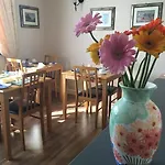 Dingle Atlantic Lodge Accommodation فندق مبيت وإفطار