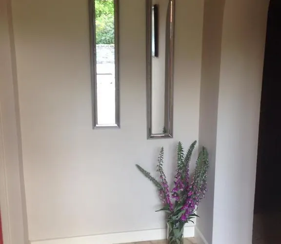 丁格尔大西洋小屋住宿加早餐旅馆 住宿加早餐酒店 丁格尔
